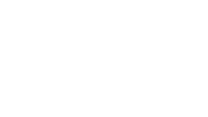 Cerberus Technical Group
